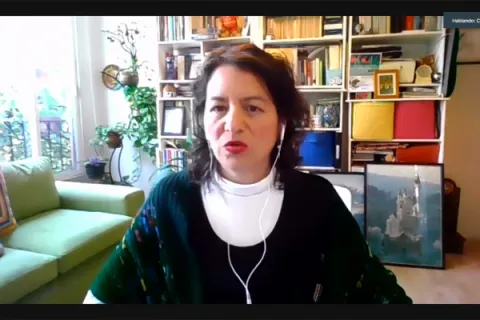 Captura de pantalla de la sesión virtual