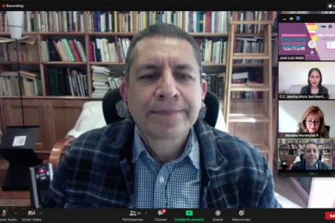 Captura de pantalla de la sesión virtual