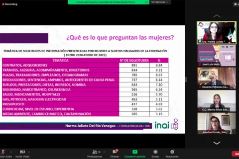 Captura de pantalla de la sesión virtual