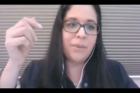 Captura de pantalla de la sesión virtual