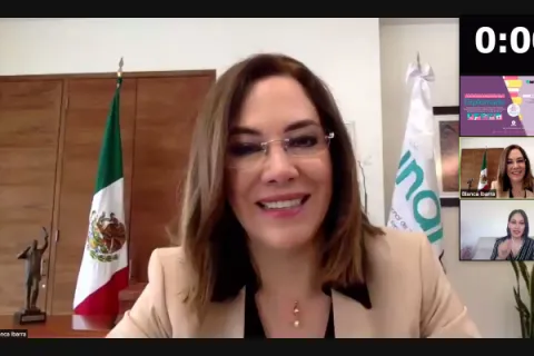 Captura de pantalla de la sesión virtual