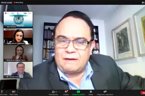 Captura de pantalla de la sesión virtual