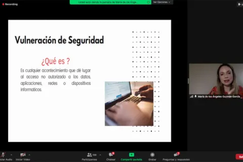 Captura de pantalla de la sesión virtual