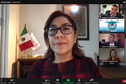 Captura de pantalla de la sesión virtual
