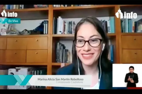 Captura de pantalla de la sesión virtual