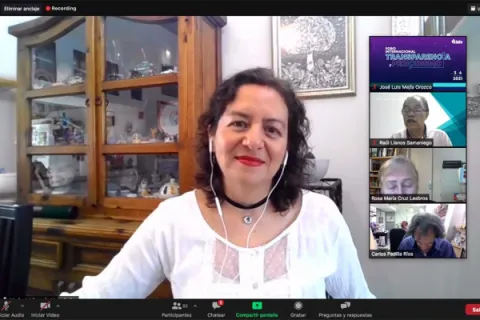 Captura de pantalla de la sesión virtual