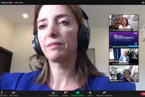Captura de pantalla de la sesión virtual