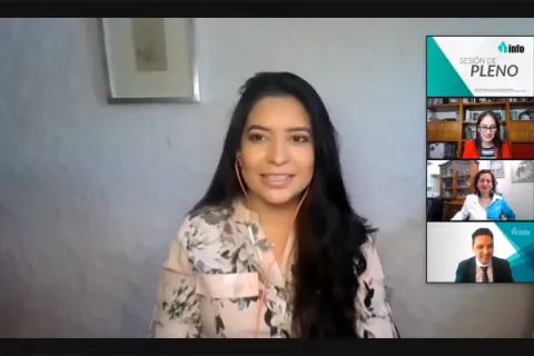 Captura de pantalla de la sesión virtual