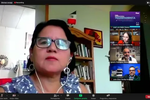 Captura de pantalla de la sesión virtual