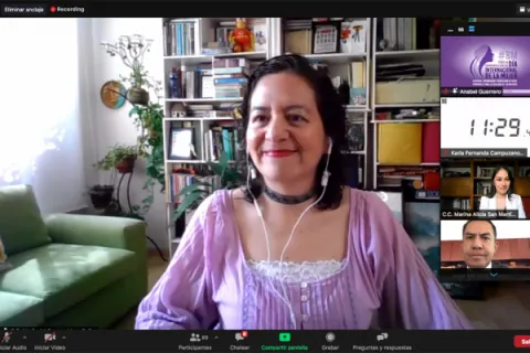 Captura de pantalla de la sesión virtual