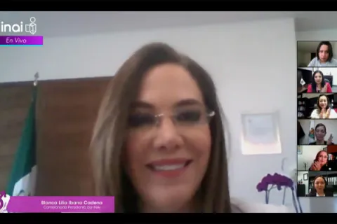 Captura de pantalla de la sesión virtual