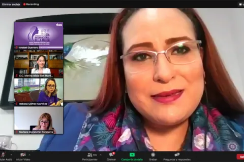 Captura de pantalla de la sesión virtual