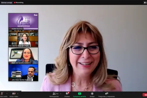 Captura de pantalla de la sesión virtual