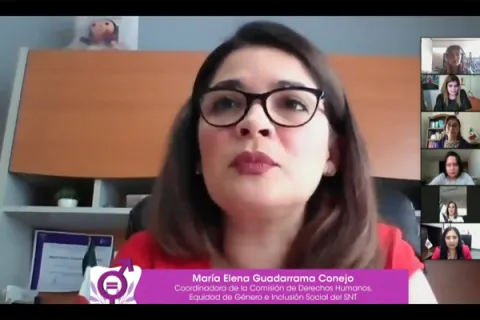 Captura de pantalla de la sesión virtual