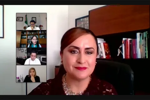 Captura de pantalla de la sesión virtual