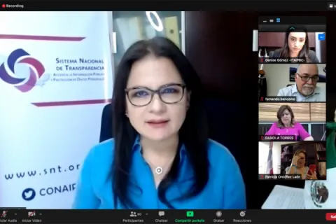 Captura de pantalla de la sesión virtual