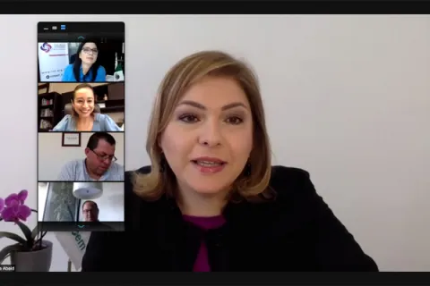 Captura de pantalla de la sesión virtual