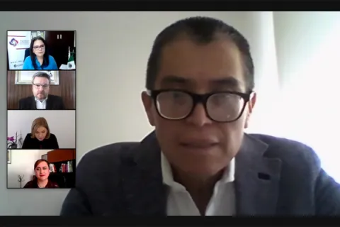 Captura de pantalla de la sesión virtual