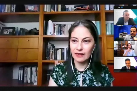 Captura de pantalla de la sesión virtual