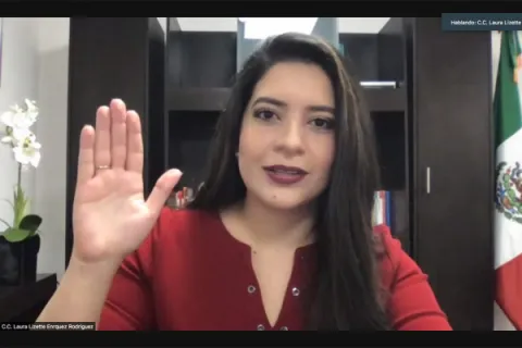Captura de pantalla de la sesión virtual