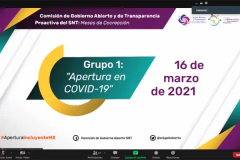 Captura de pantalla de la sesión virtual