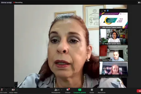 Captura de pantalla de la sesión virtual