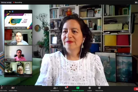 Captura de pantalla de la sesión virtual