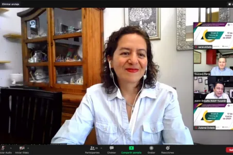 Captura de pantalla de la sesión virtual