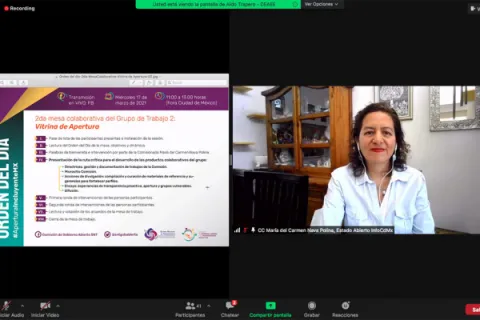 Captura de pantalla de la sesión virtual