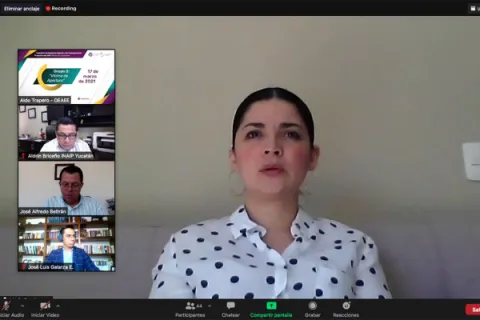 Captura de pantalla de la sesión virtual