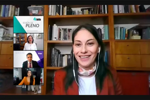 Captura de pantalla de la sesión virtual
