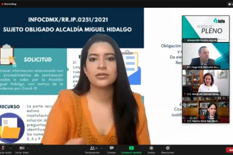Captura de pantalla de la sesión virtual