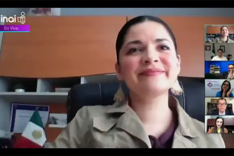 Captura de pantalla de la sesión virtual