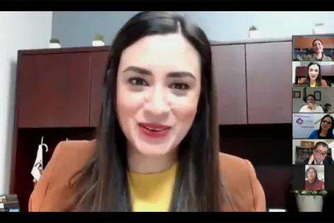Captura de pantalla de la sesión virtual