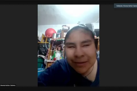 Captura de pantalla de la sesión virtual