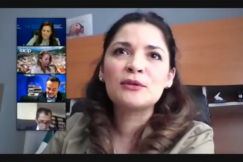 Captura de pantalla de la sesión virtual