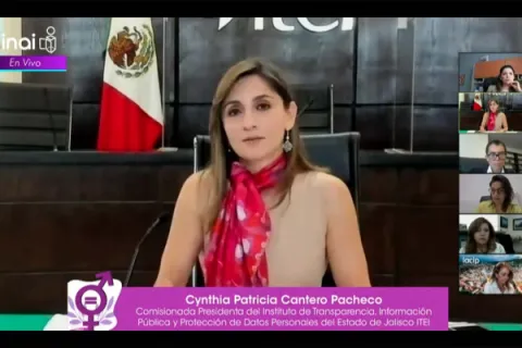 Captura de pantalla de la sesión virtual