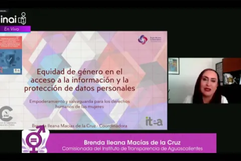 Captura de pantalla de la sesión virtual