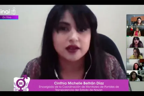 Captura de pantalla de la sesión virtual