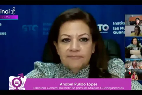 Captura de pantalla de la sesión virtual