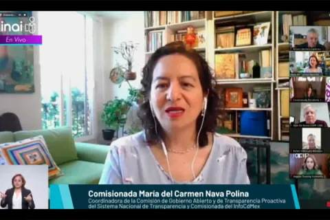 Captura de pantalla de la sesión virtual