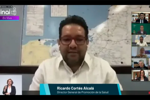 Captura de pantalla de la sesión virtual