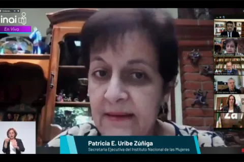Captura de pantalla de la sesión virtual