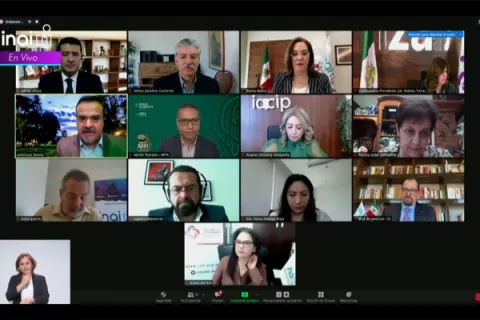 Captura de pantalla de la sesión virtual