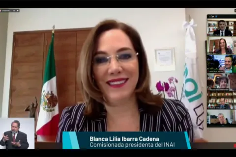 Captura de pantalla de la sesión virtual