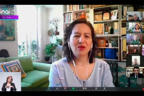 Captura de pantalla de la sesión virtual