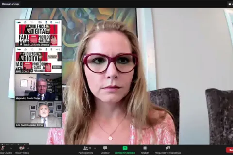 Captura de pantalla de la sesión virtual
