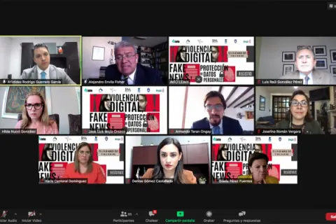 Captura de pantalla de la sesión virtual