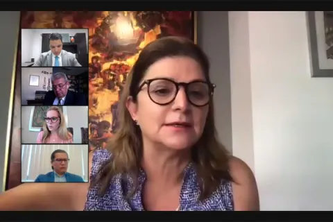 Captura de pantalla de la sesión virtual
