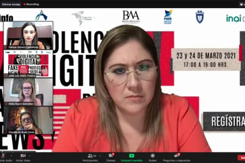 Captura de pantalla de la sesión virtual